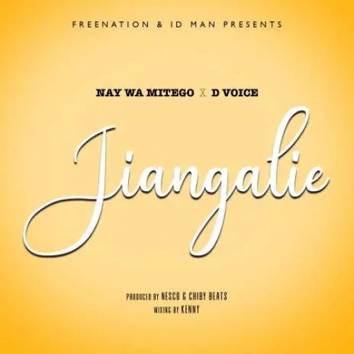 Jiangalie (Remix) (Ft Eyoo Kenny, D Voice)