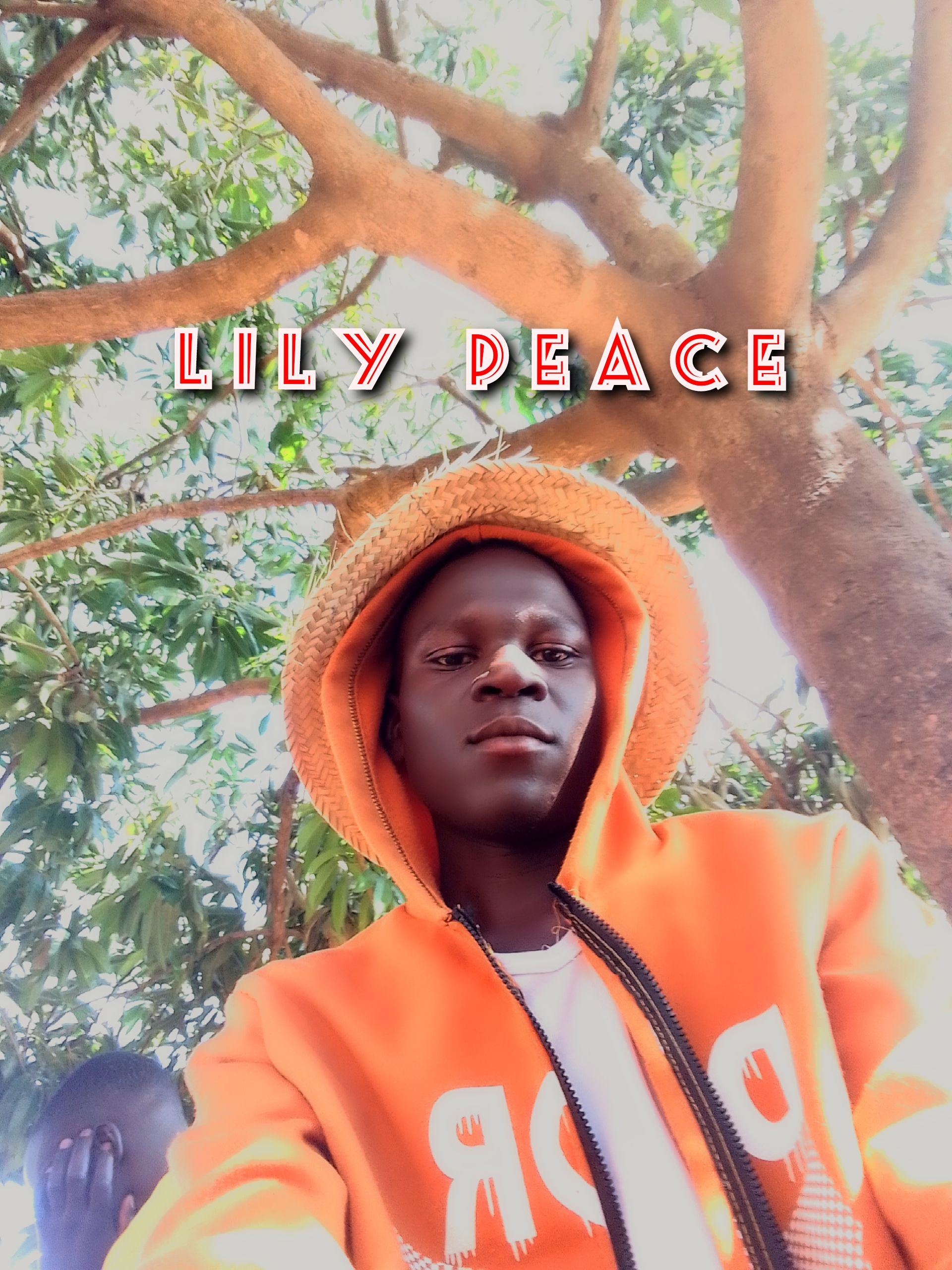 Lily Peace