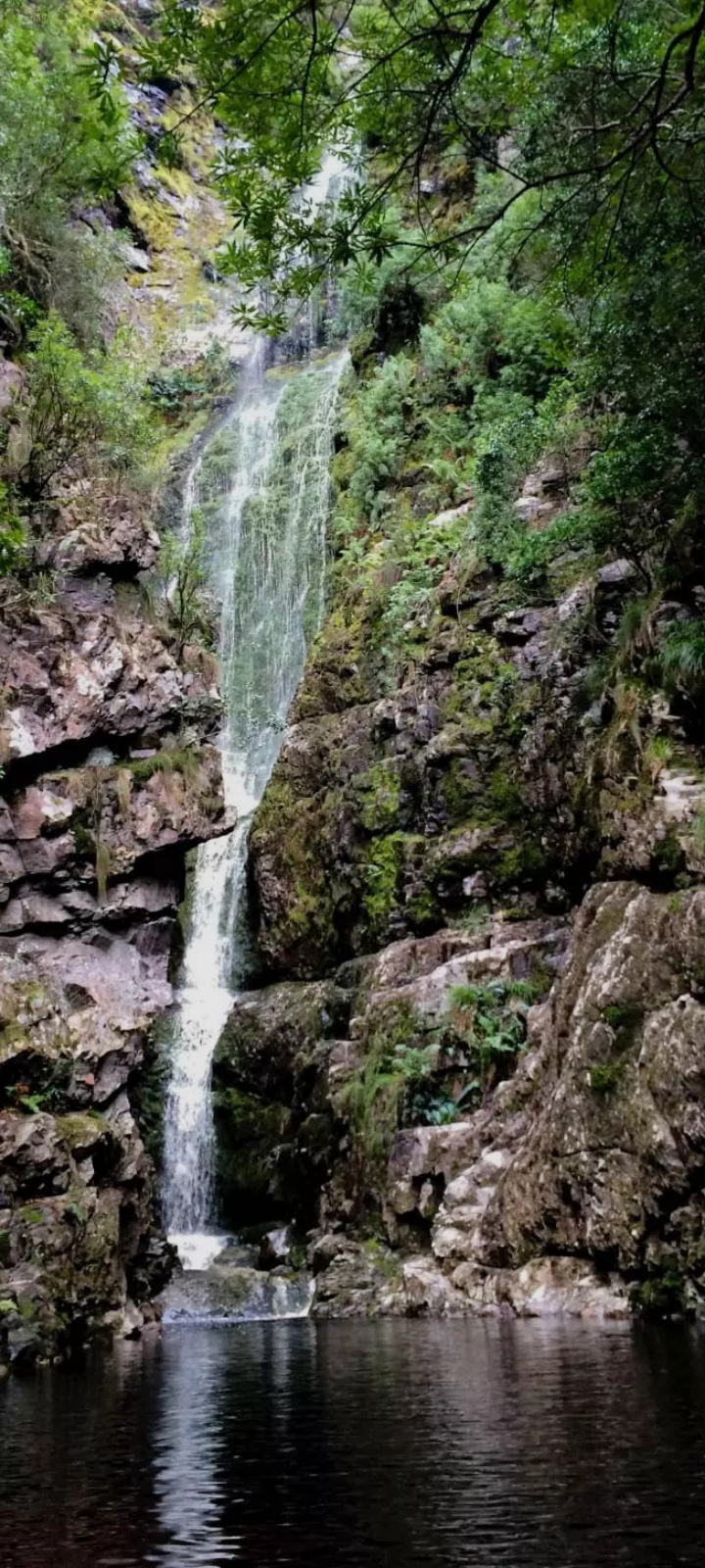 Top Dog (Bosso tsa lefatshe)