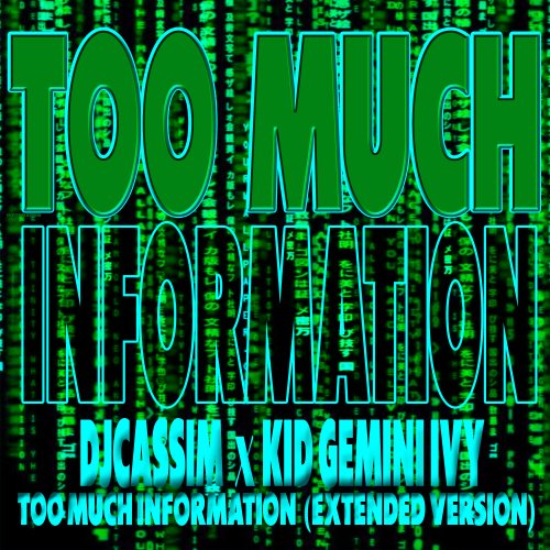 Djcassim (Ft kid Gemini Ivy - Too much Information Extended Version)