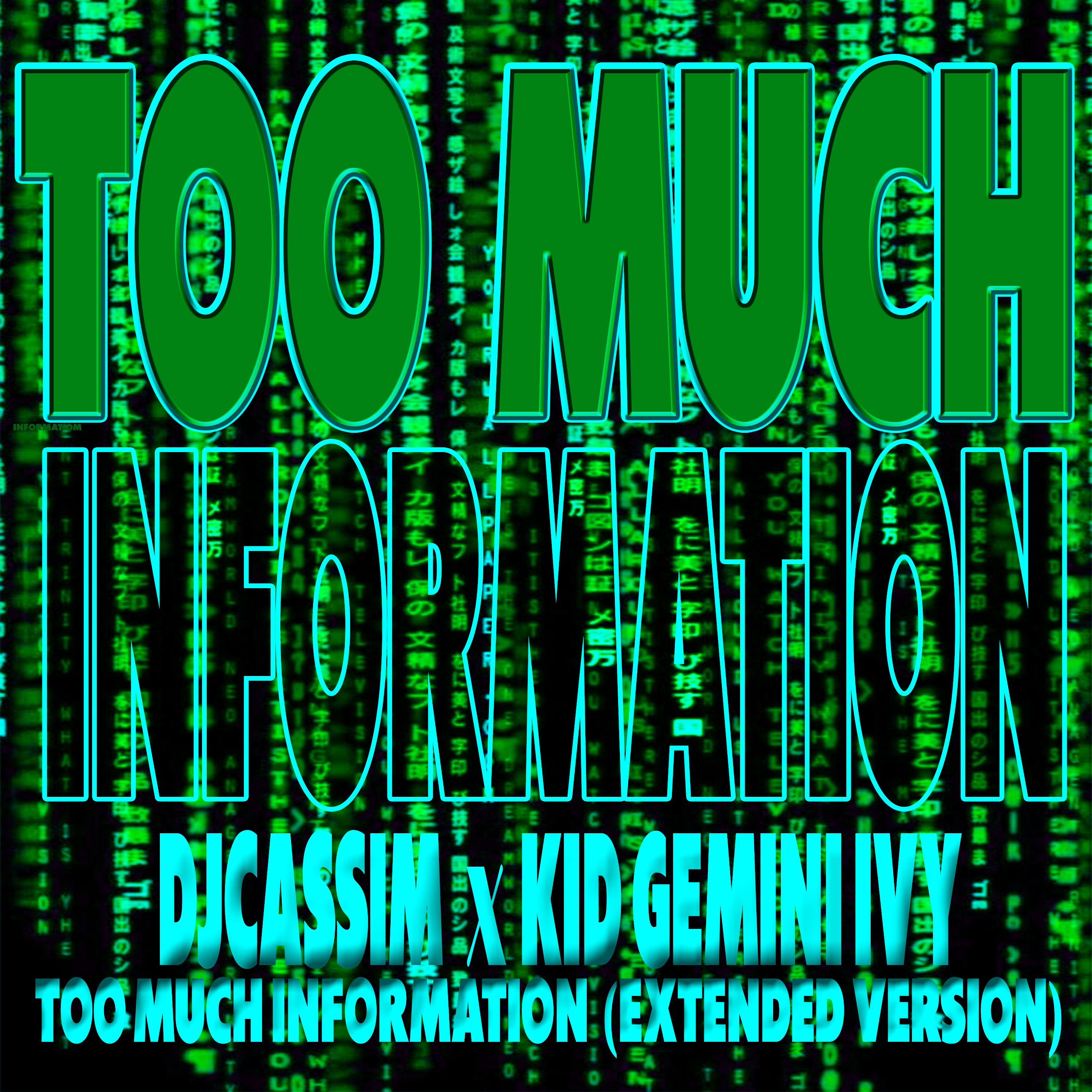 Djcassim (Ft kid Gemini Ivy - Too much Information Extended Version)