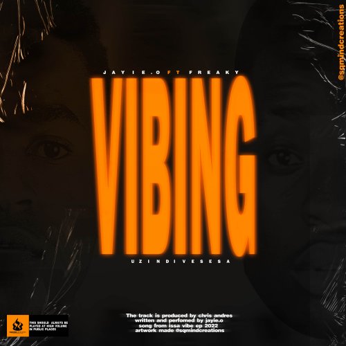 Vibing Out (zindivesesa)