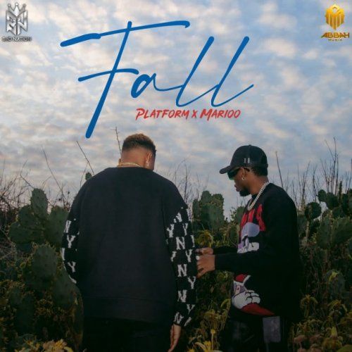 Fall (Ft Marioo)