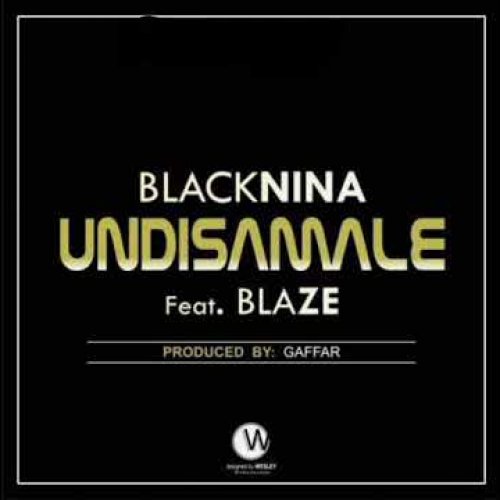 Undisanale (Ft Blaze)