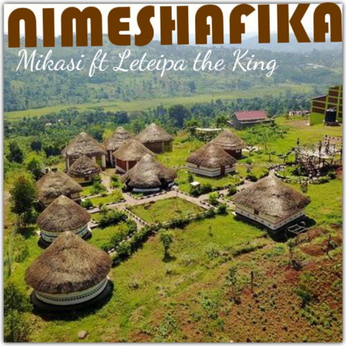 Nimeshafika (Ft Mikasi)