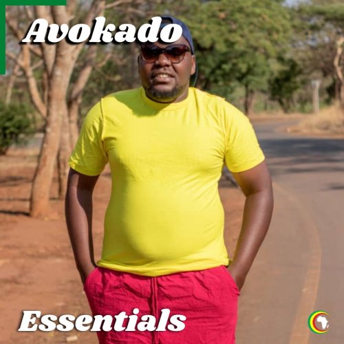 Avokado Essentials