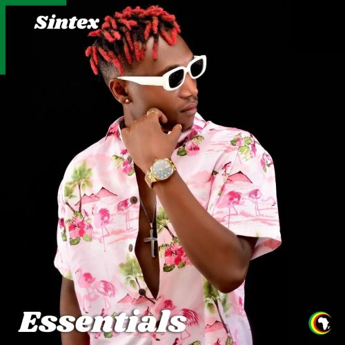 Sintex Essentials