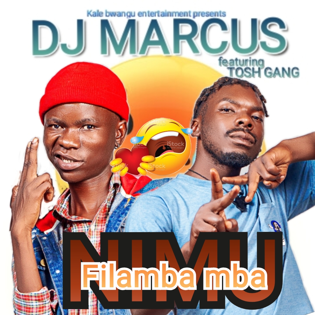 Nimu filamba mba (Ft tosh gang)