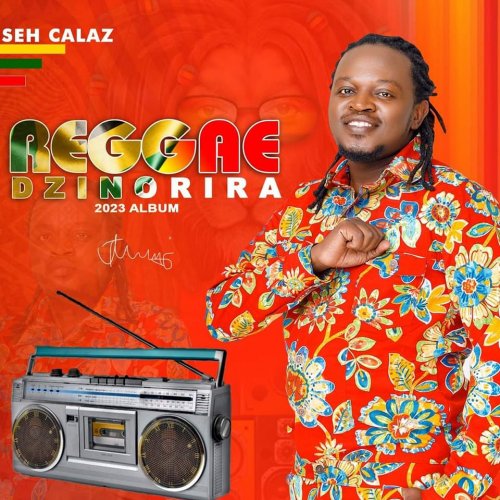 Reggae Dzinorira by Seh Calaz