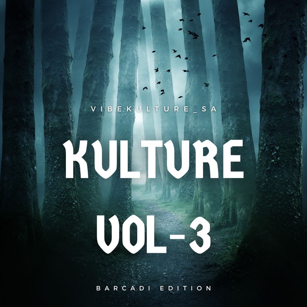 Kulture, Vol. 3 (Barcadi Edition) by Vibekulture Sa | Album