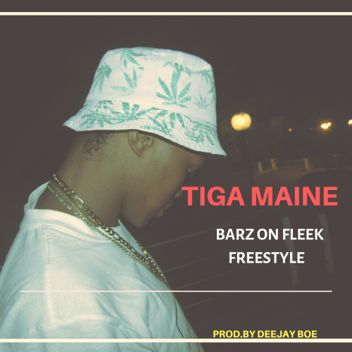 Barz On Fleek (Freestyle)