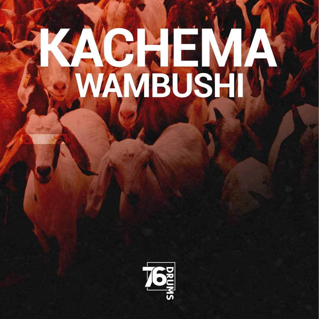Kachema Wambushi