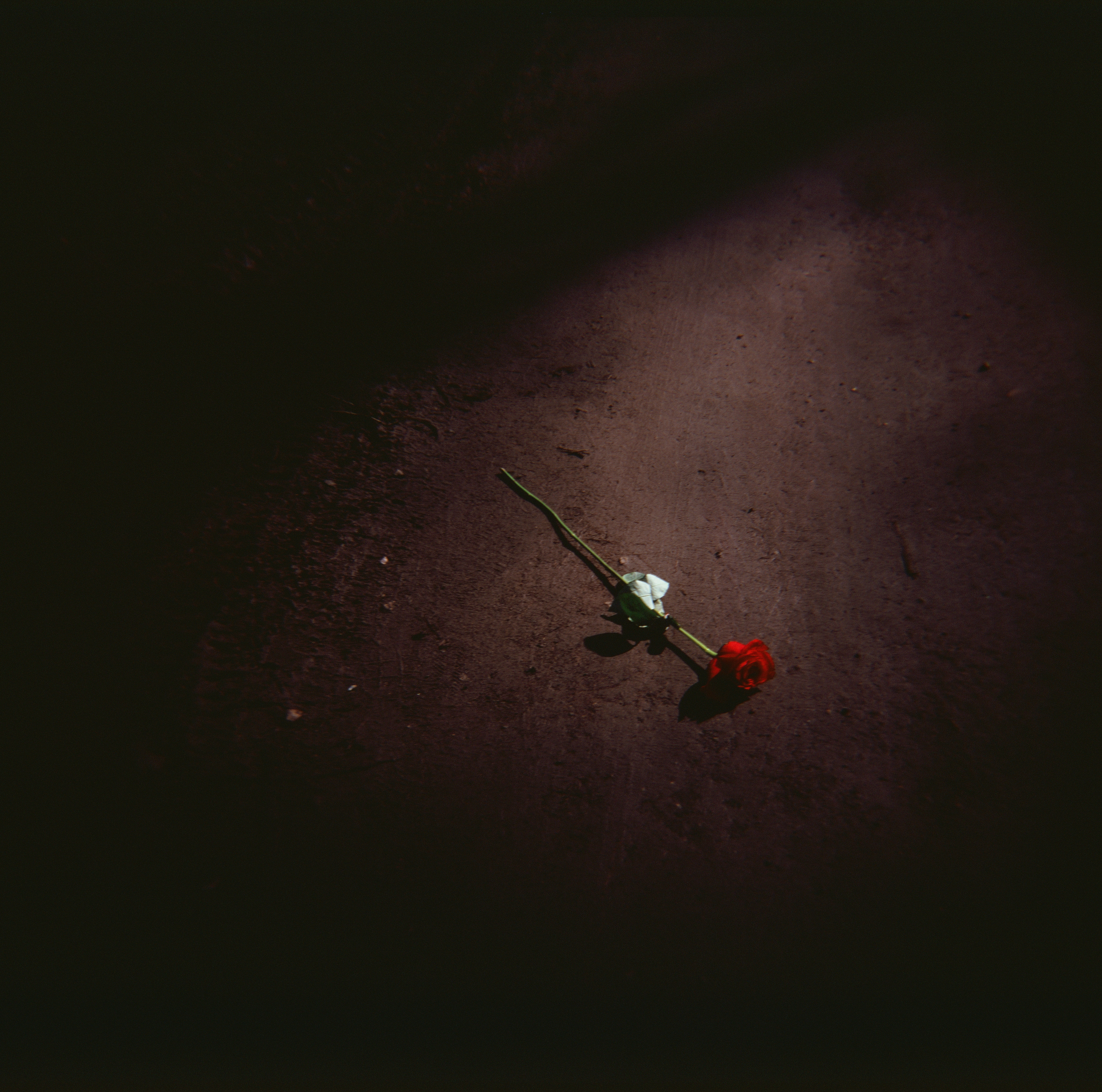 Lonely