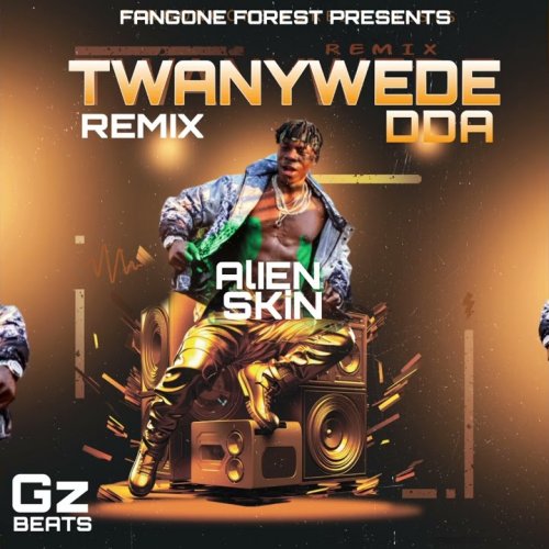 Twanywede dda (Remix)