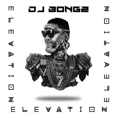 Elevation by DJ Bongz | Album