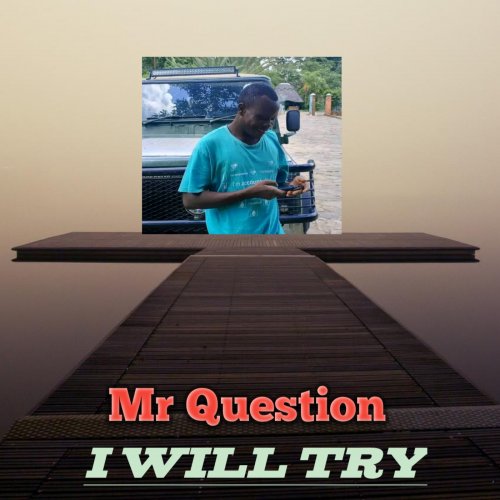 I will try by Mr Question | Album