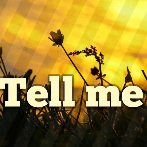 Tell me by Mr Question | Album