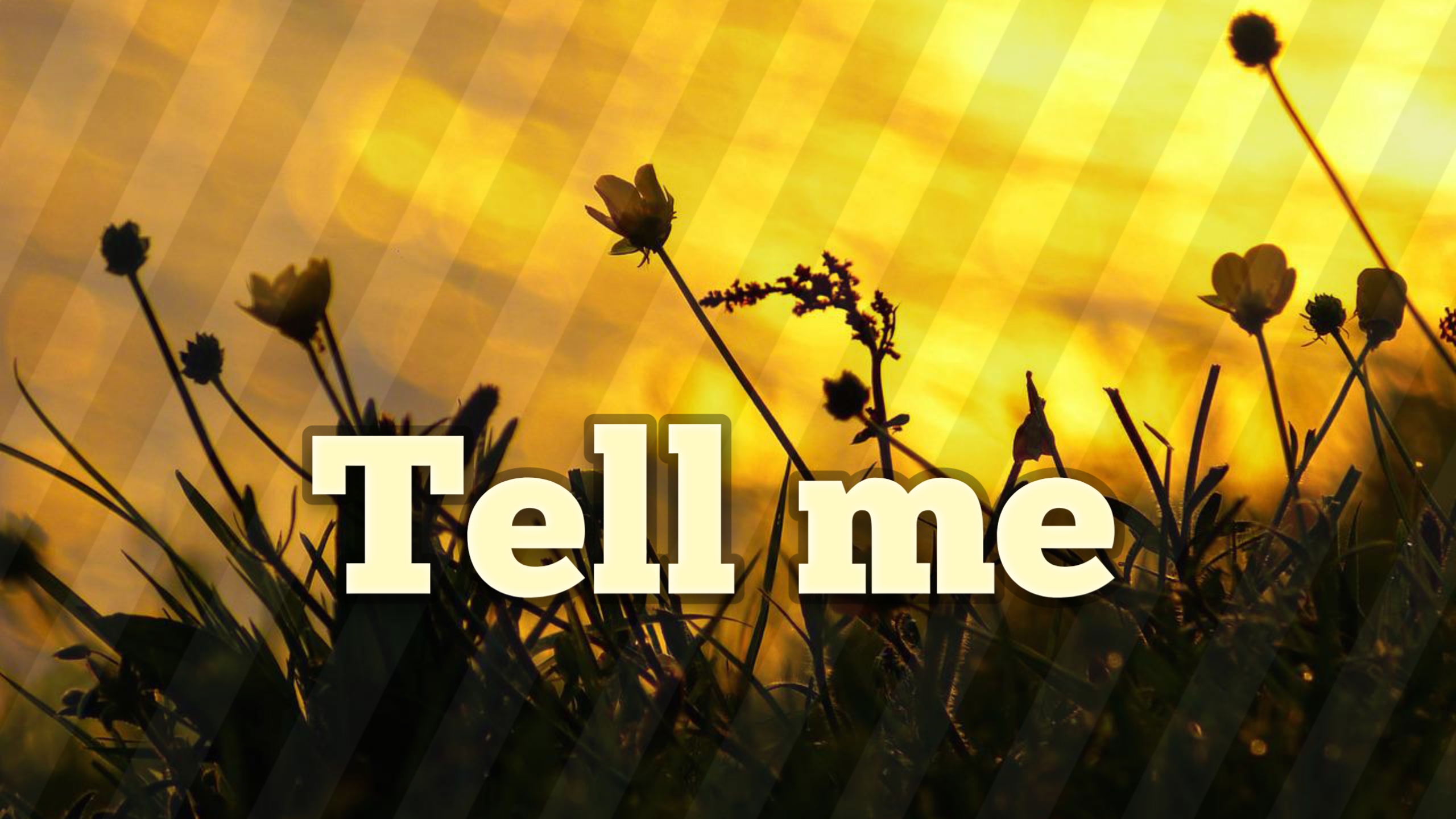 Tell me by Mr Question | Album