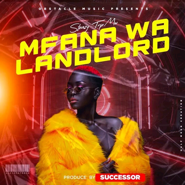 Mfana Wa Landlord