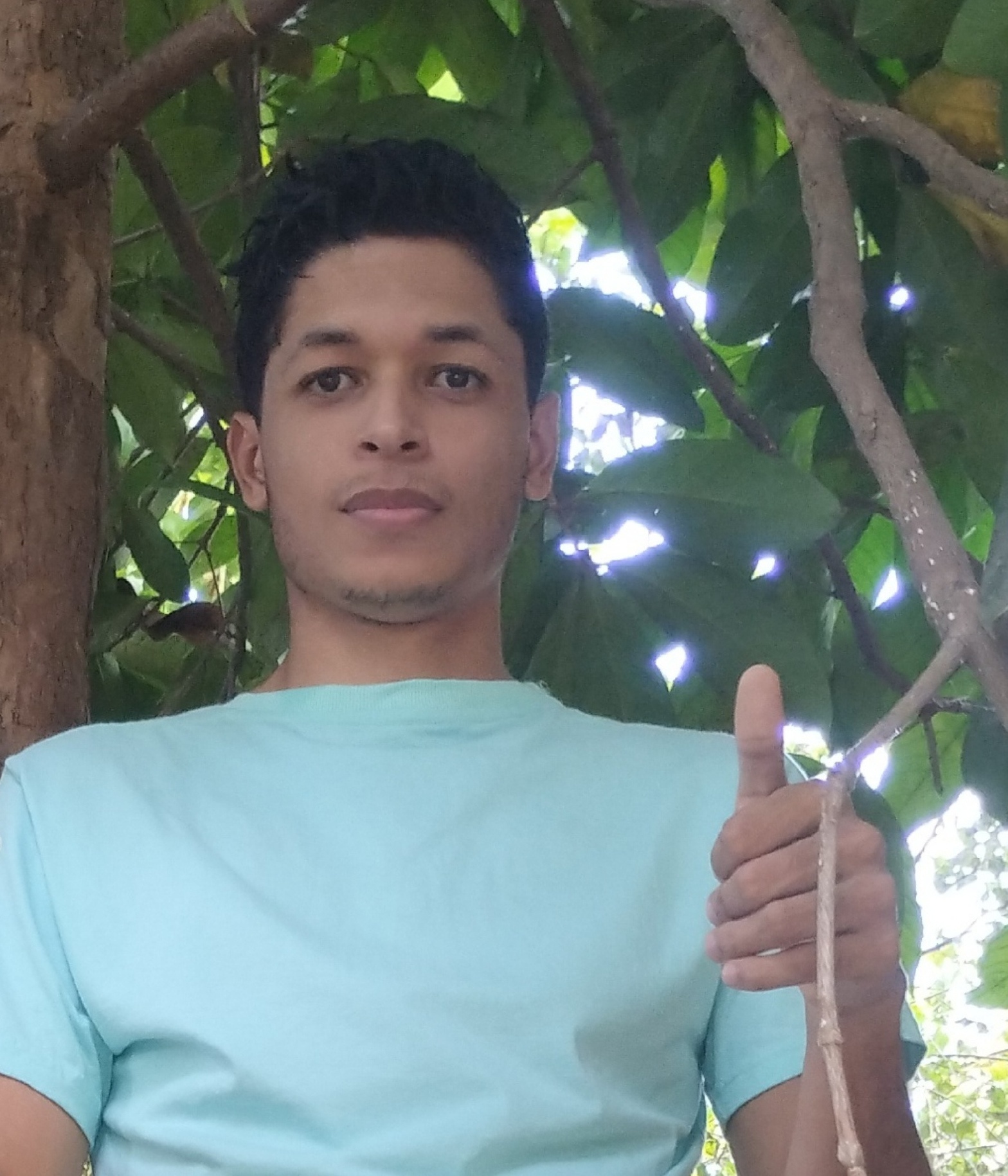 pecy