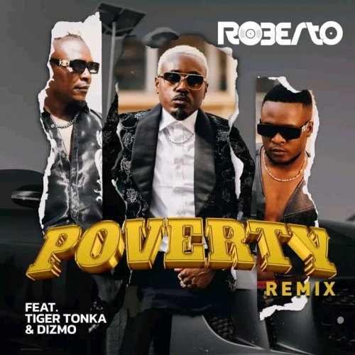 Poverty (Remix)  (Ft Tiger Tonka & Dizmo)