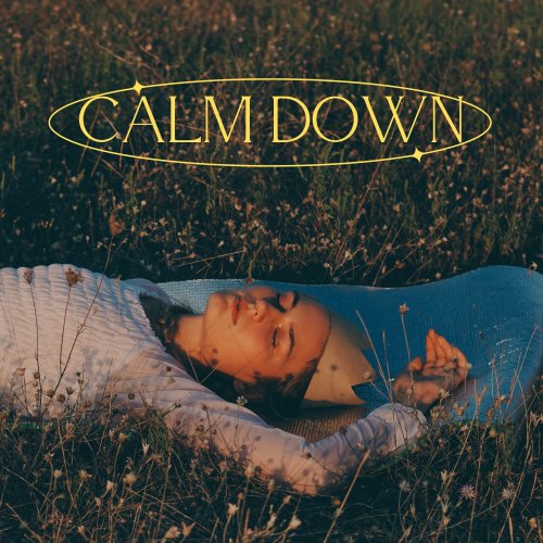 Calm Down (Ft Rema & Selena Gomez) Instrumental Type Beat