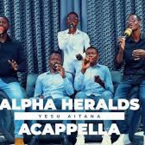 AlphaLive On Stage Stage
