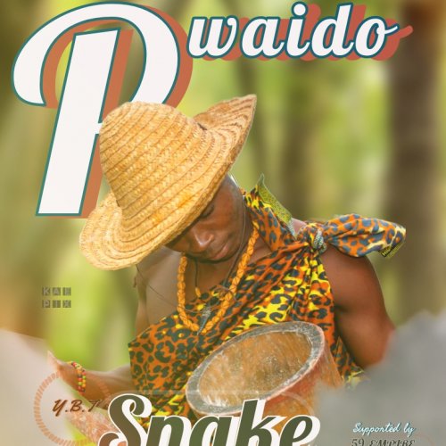 Pwaido