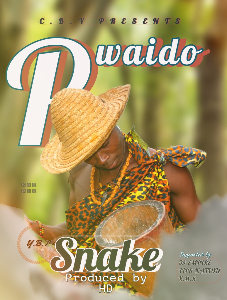 Pwaido