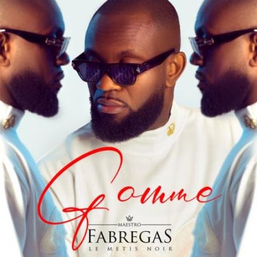 Gomme Vol. 1 by Fabregas Le Métis Noir | Album