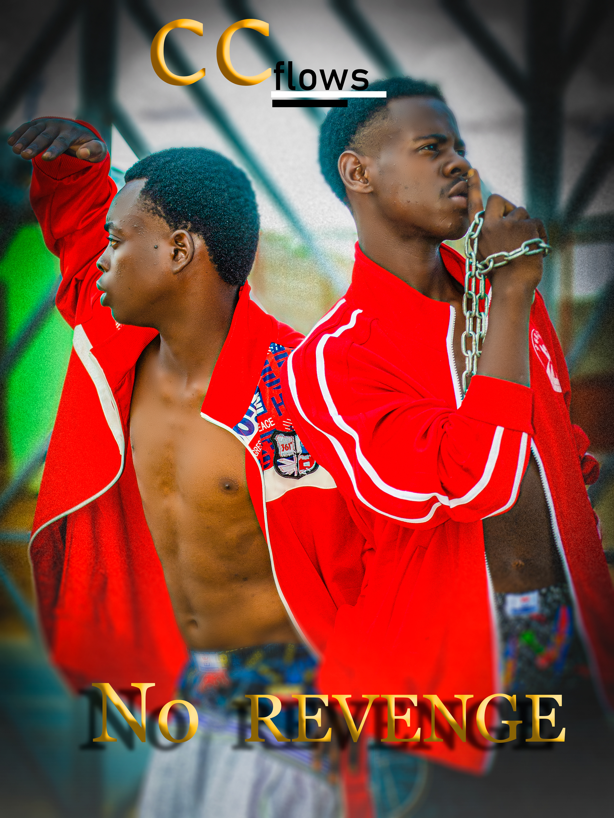 No revenge by cc flows | Album