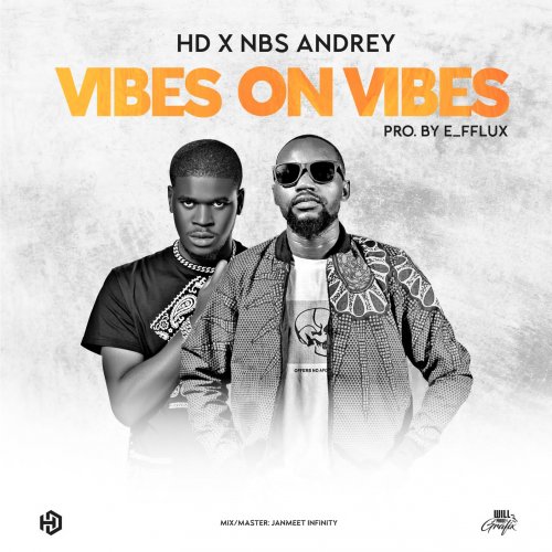 Vibes On Vibes (Ft NBS Andrey)