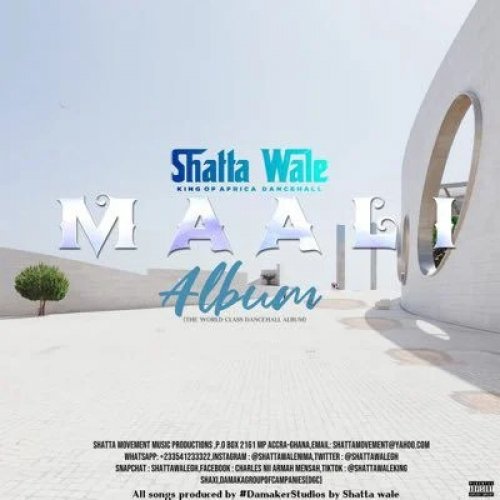 Maali by Shatta Wale | Album