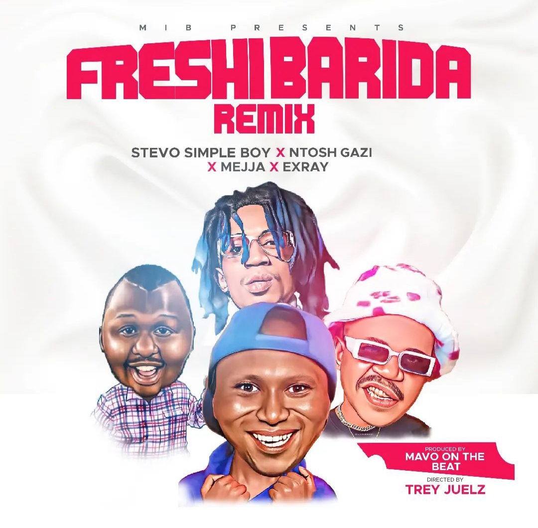 Freshi Barida Remix