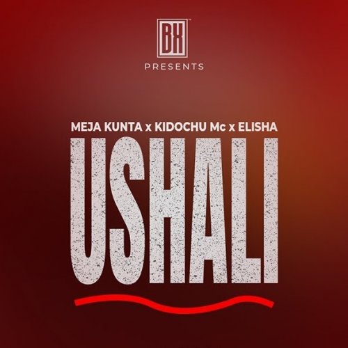 Ushali (Ft Kidochu Mc & Elisha)