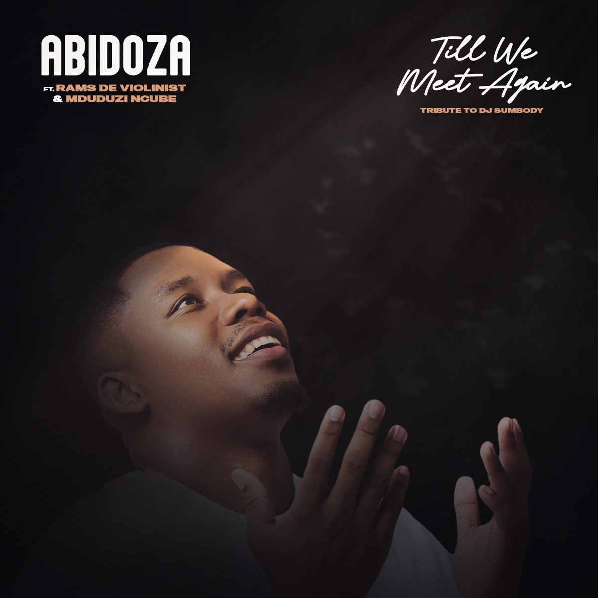 Till We Meet again (Tribute to DJ Sumbody) (Ft Rams De Violinist & Mduduzi Ncube)