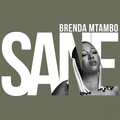 Sane by Brenda Mtambo