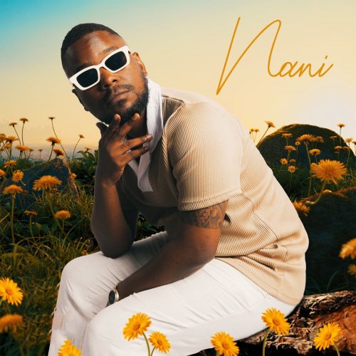 Nani by Mkuzi | Album