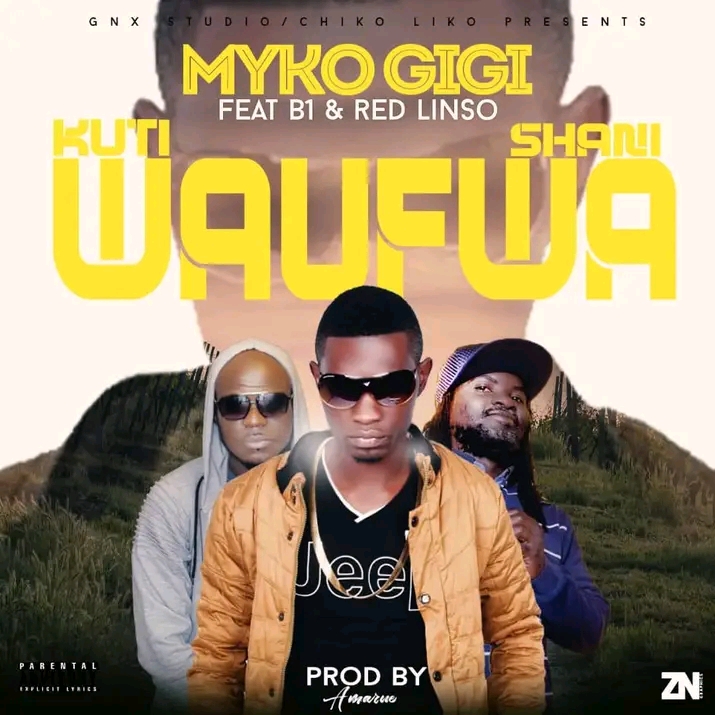Kuti Waufwa Shani (Ft B1, Redlinso)