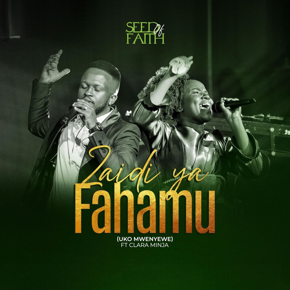 Zaidi Ya Fahamu Uko Mwenyewe (Ft Clara Minja)