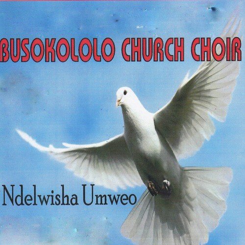Ndelwisha Umweo by Busokololo Churh Choir | Album