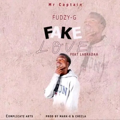 Fake Love (Ft Labradah)