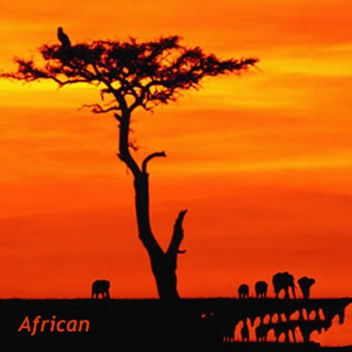 Enjoying African Life by Fadhili William