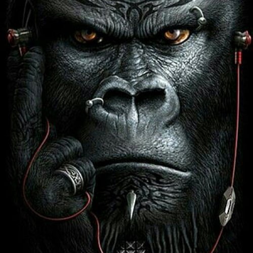 WeAreBad (Ft Kobra Key)