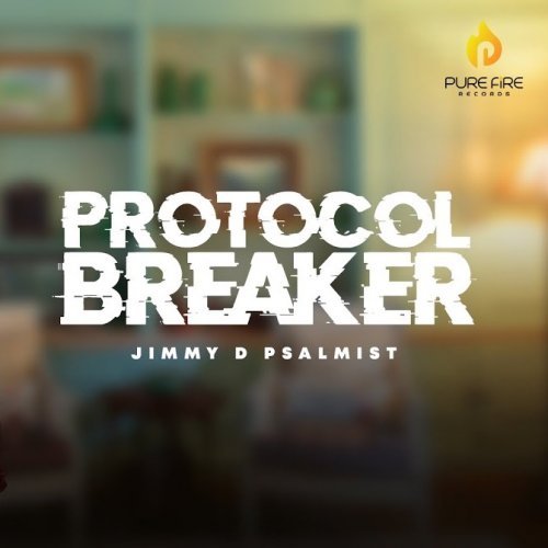 Protocol Breaker