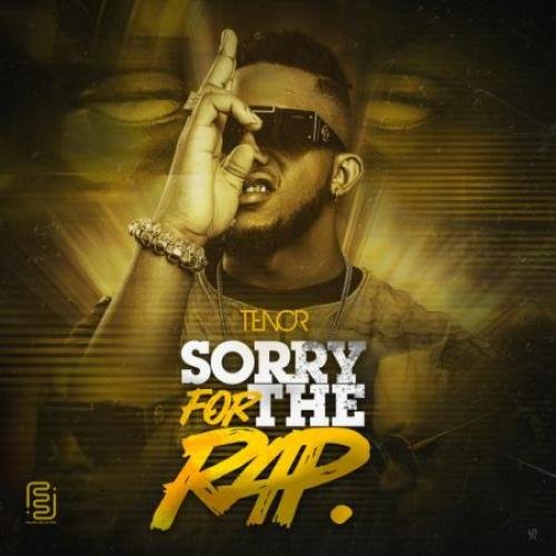 Sorry 4 The Rap