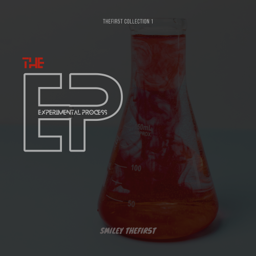 Thefir5t Collection 1 - The EP (Experimental Process)