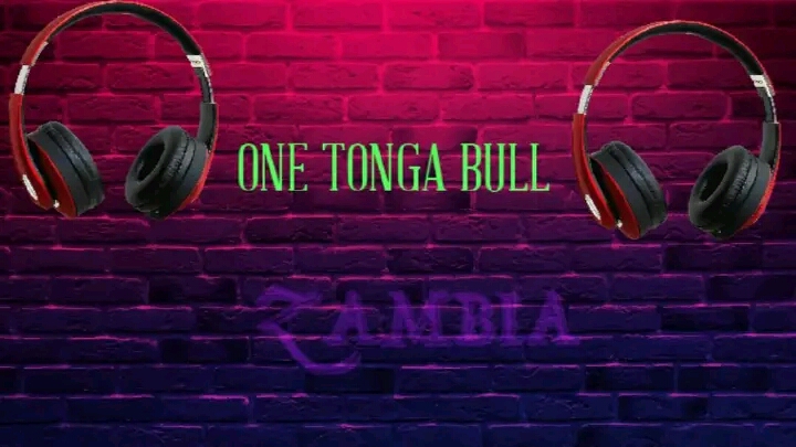 One Tonga Bull