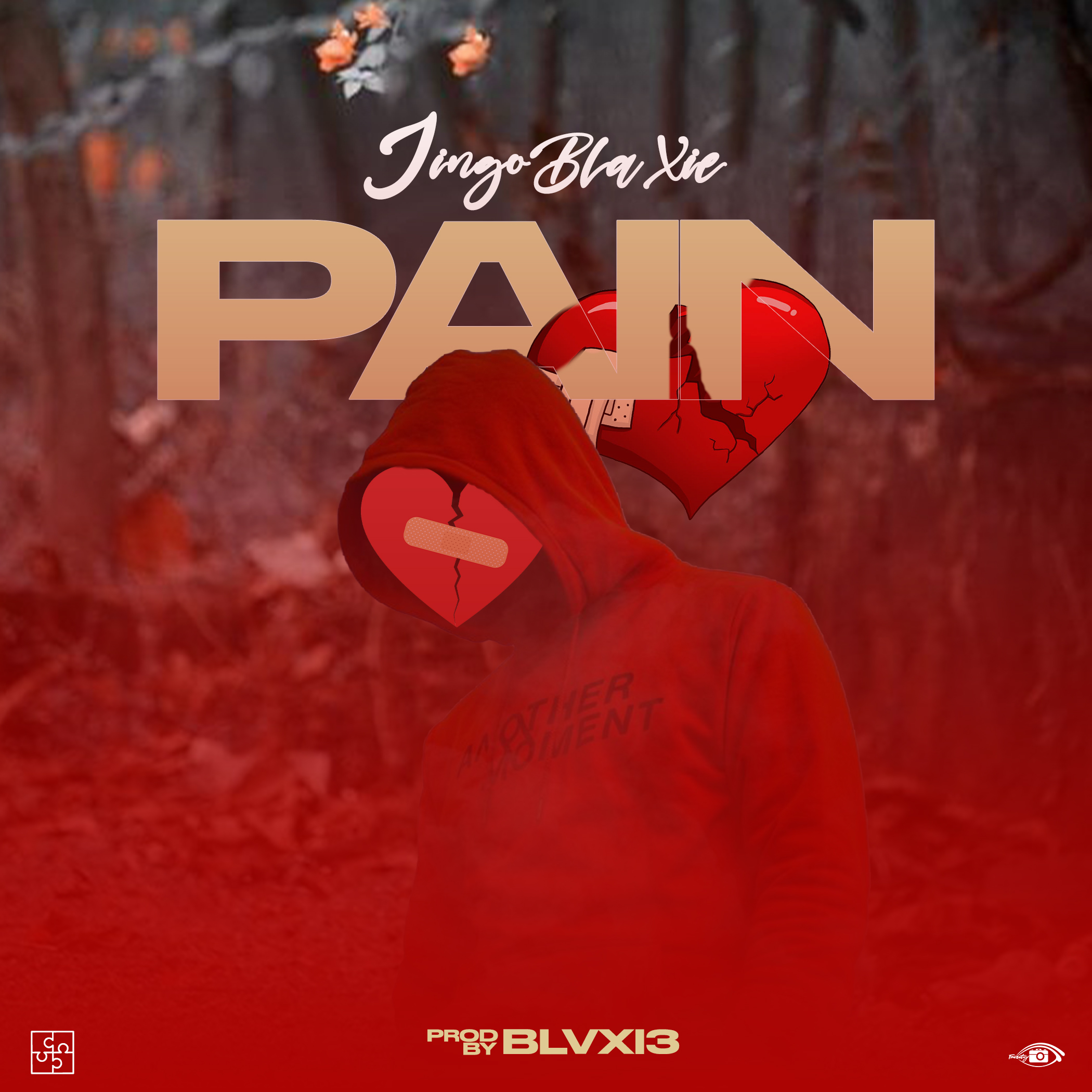 Pain