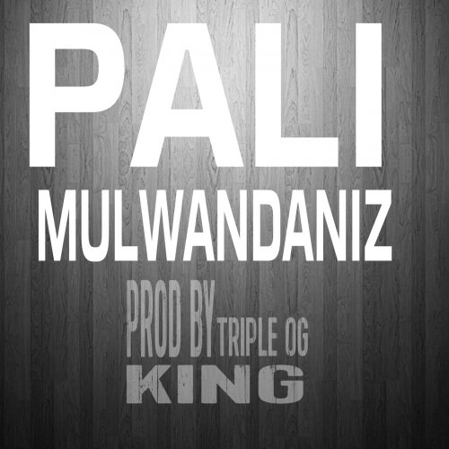 PALIMULWANDANIZ By Triple Og King